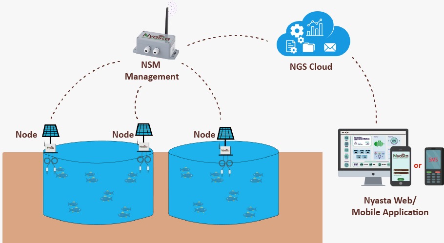 Smart Aquaculture